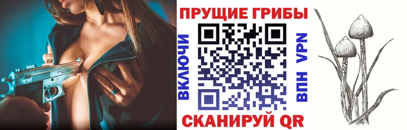 хочу наркоту  Кола  площадка состав  Псилоцибиновые грибы Psilocybe 