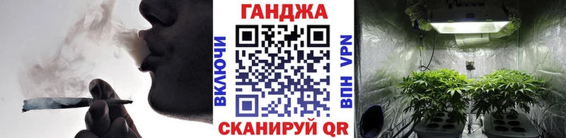 Шишки марихуана планчик  где купить   Кола 